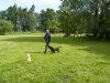 hundetraining-004